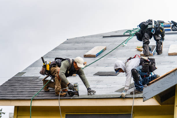 Professional Gutter Installation technician working in Albany, CA